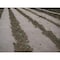 Weedguard Plus WeedGuard Plus Standard Weight Biodegradable Paper Weed Barrier FRAN009748000000050 - alternate 5